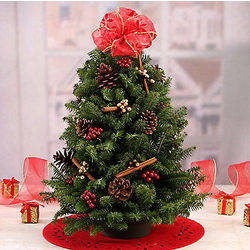 Mini Christmas Tree with Cinnamon Sticks