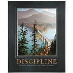 Discipline Bridge Motivational Poster