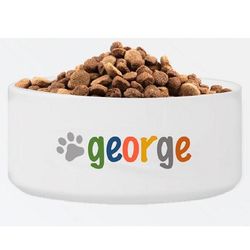 Crayons Classic Personalized Large Dog Bowl