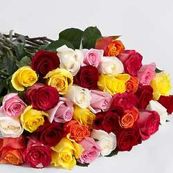 Bouquet of Three Dozen Rainbow Roses