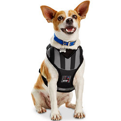 Star Wars Darth Vader Dog Harness