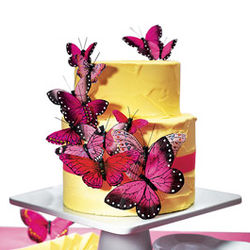 Hand Painted Romantic Pink Butterfly Cake Decoration