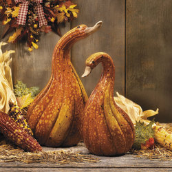 Glenda & Gourdo Pumpkin Geese Set