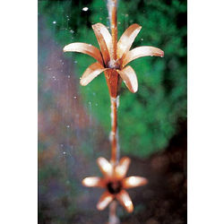 Copper Lilies Rain Chain