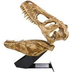 Light-Up T-Rex Skull Replica