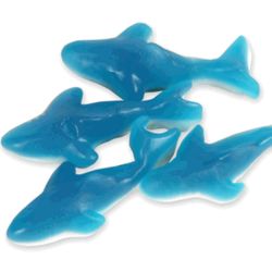 Blue and White 1LB Bag Gummy Sharks
