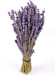 Royal Velvet Lavender Bundle