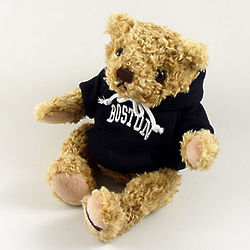 Boston Hoodie Teddy Bear