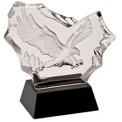 Personalized Etched Flying Eagle Award