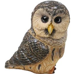 Barred Owl Design Owl Pot Bellys Box