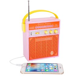 Blossom Pink Retro Sounds Radio and MP3 Speaker