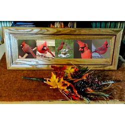 Oak Framed Cardinal Photos on Ceramic Tiles