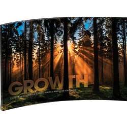 Growth Forest Curved Desktop Acrylic Print