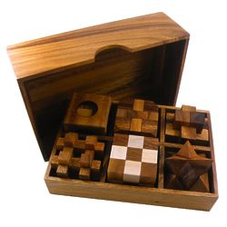 6 Wooden Puzzles Gift Set