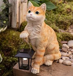 Ginger Tabby Cat with Solar Lantern