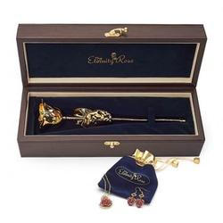 Gold-Dipped Rose and Jewelry Gift Set