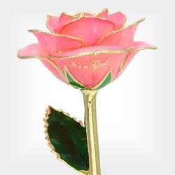 It's A Girl Preserved Pink Rose with 24K Gold Trim