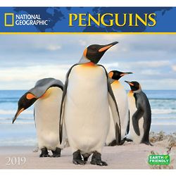 National Geographic Penguins 2019 Calendar