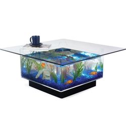 25 Gallon Aquarium Coffee Table