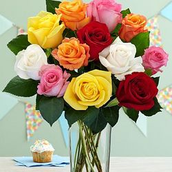 One Dozen Long Stemmed Vibrant Birthday Roses