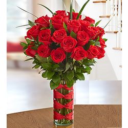 Two Dozen Premium Long-Stem Red Roses