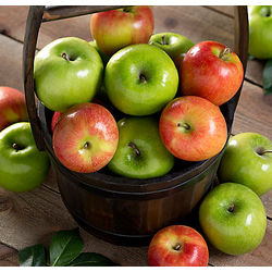 Jazz Apples and Granny Smith Apples