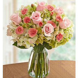 Premium Hand-Tied Rose and Hydrangea Bouquet