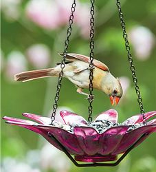 Hanging Glass Flower Bird Bath or Feeder
