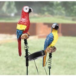 Solar Parrots Garden Stakes