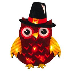 Pilgrim Owl Lighted Fall Decoration