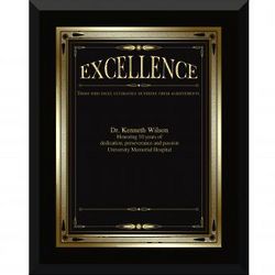 Ebony Excellence Award Plaque