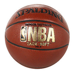 Spalding NBA Tack Soft Indoor/Outdoor Basketball