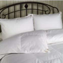 Restful Nights Trillium Polyester King Size Pillow Set