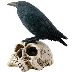 Raven on Skull Figurine