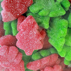 1 Pound of Gummi Candy Christmas Trees in Red and Green