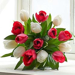 Jolly Holiday Tulip Bouquet