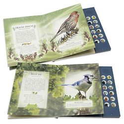 The Little Book of Bird Songs