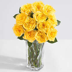 12 Stems of Canary Island Yellow Garden Roses