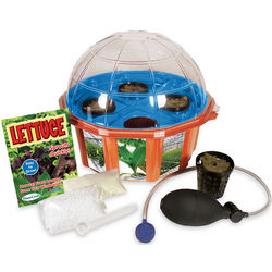 Hydrodome Lettuce Greenhouse Science Kit