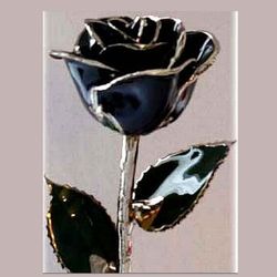 12" Black Platinum Trimmed Rose