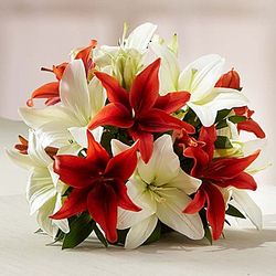 Winter Lily Bouquet