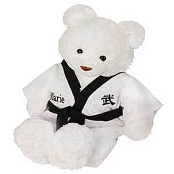 karate teddy