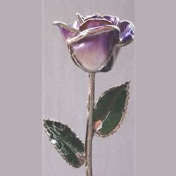 Two Toned Purple and Platinum Preserved Rose