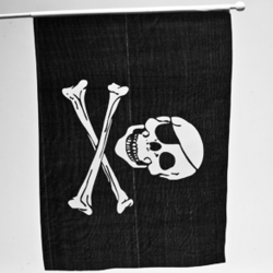 Rayon Pirate Skull Flag