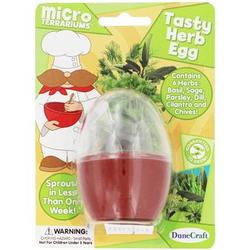 Tasty Herb Egg Shaped Micro Terrarium