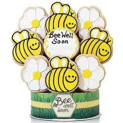 Bee Well Soon 9 Piece Decorated Cookie Bouquet