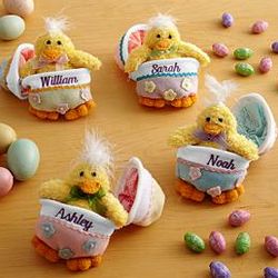 Personalized Baby Chick and Zippered Egg