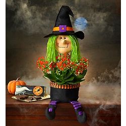 Bewitching Halloween Plant