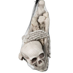 Halloween Bag of Bones