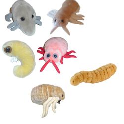 Plush Dolls of Various Household Critters